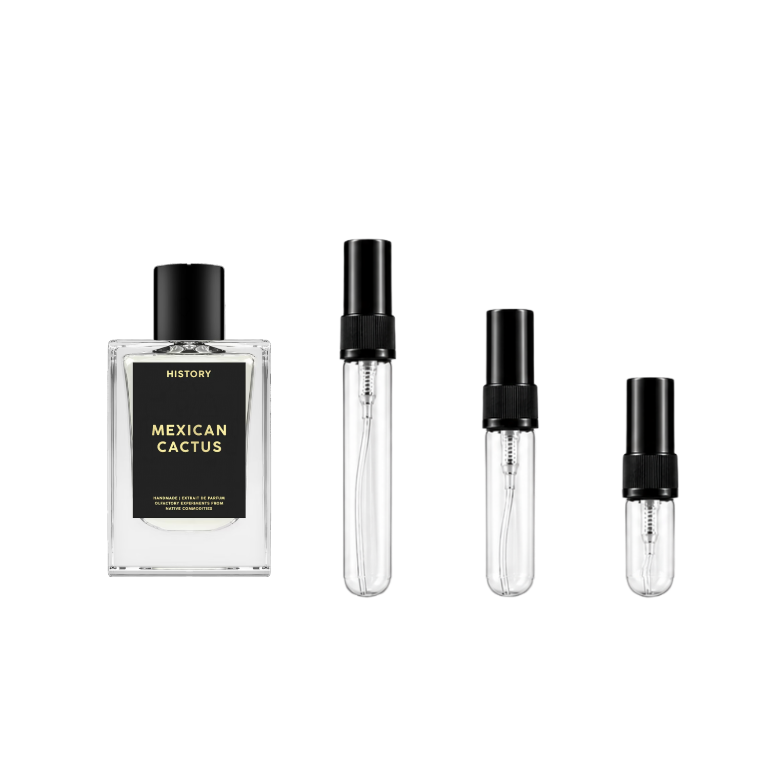 Mexican Cactus History Parfums