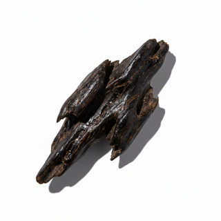 Agarwood
