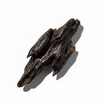 Agarwood