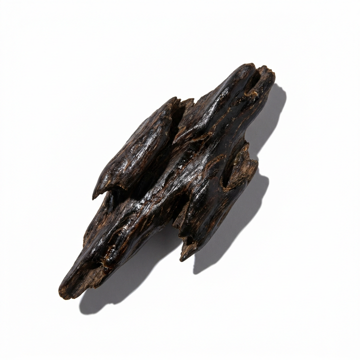Agarwood