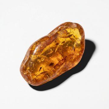 Ambergris