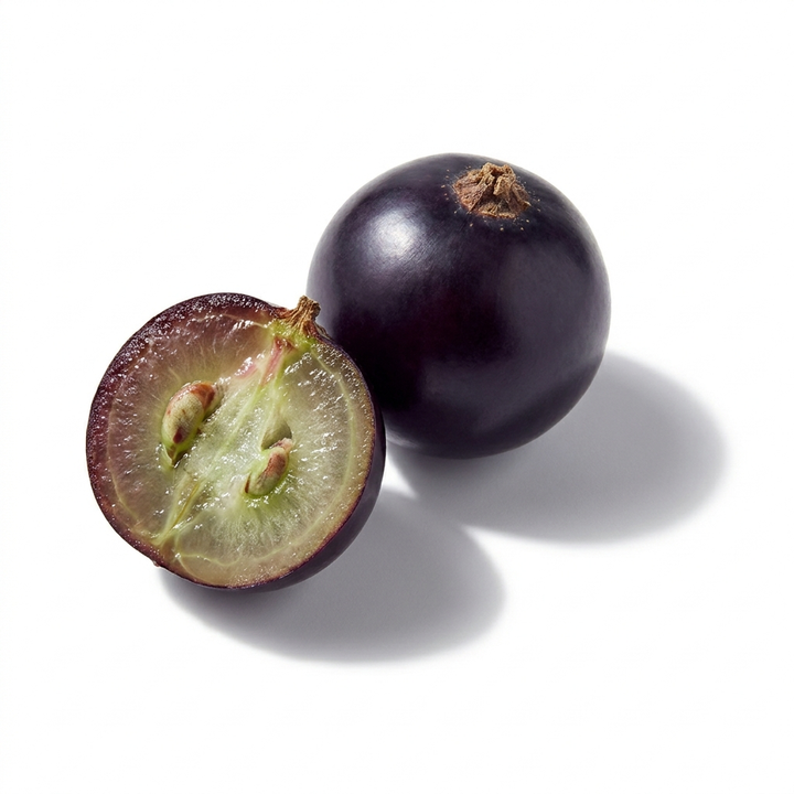 Black Currant Bud