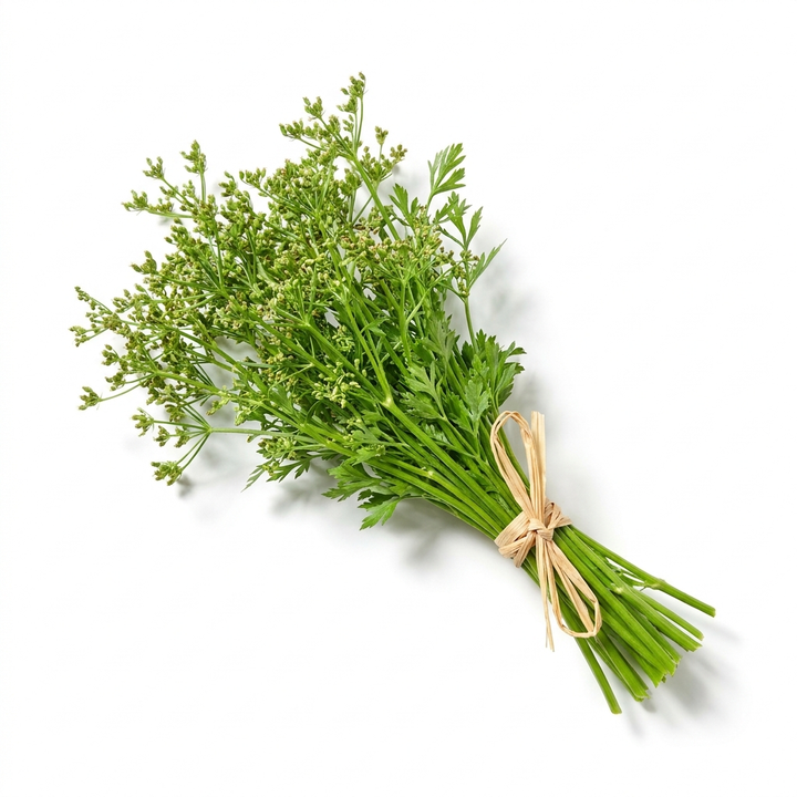 بذور الكرفس