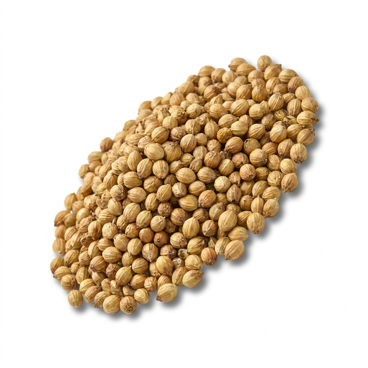 Coriander
