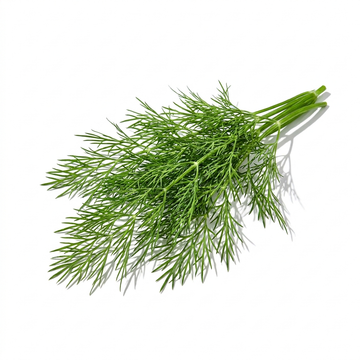 Dill