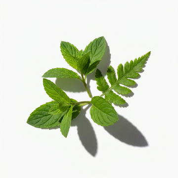 Green Leaves