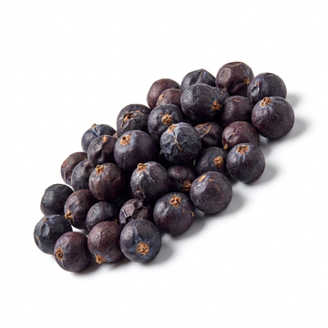 Juniper Berry