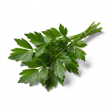 Lovage