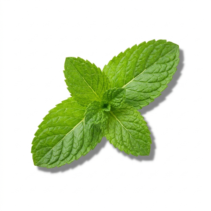 Mint