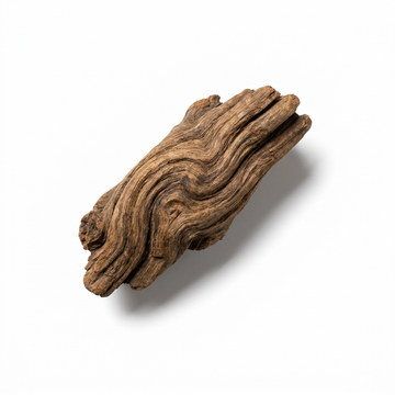 Nagarmotha