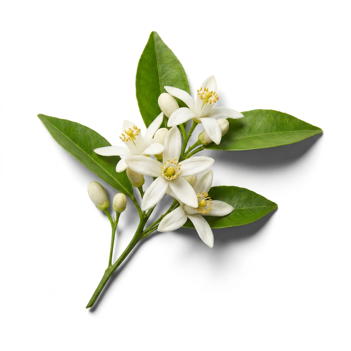 Neroli