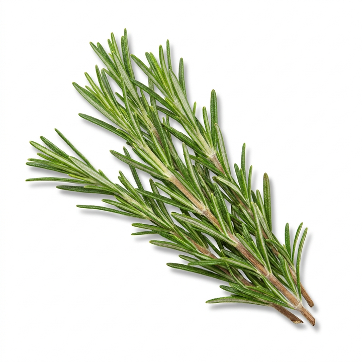 Rosemary
