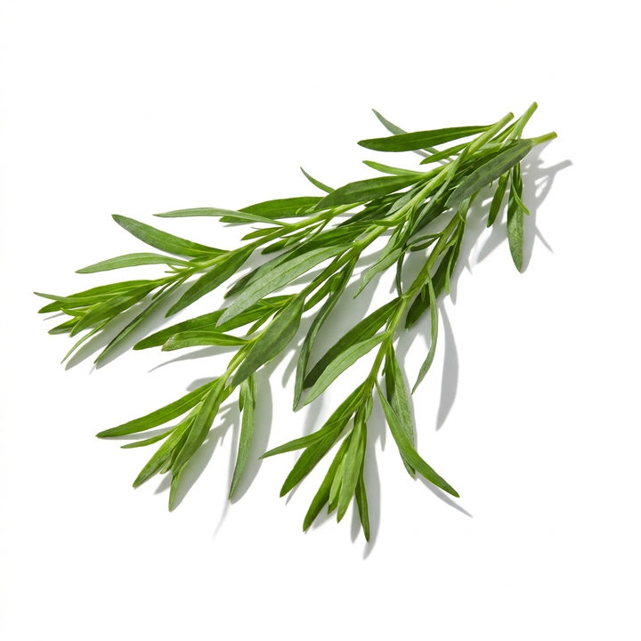 Tarragon