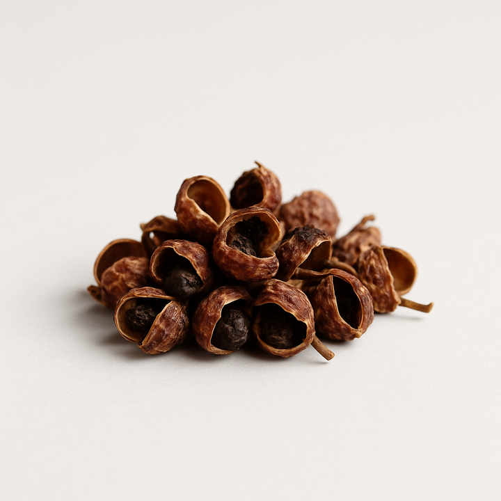 Timut Pepper
