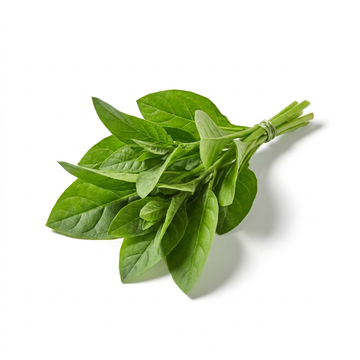 Tobacco Leaf