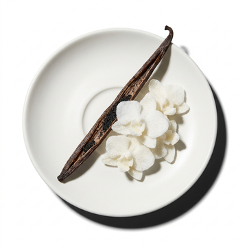 Vanilla Orchid