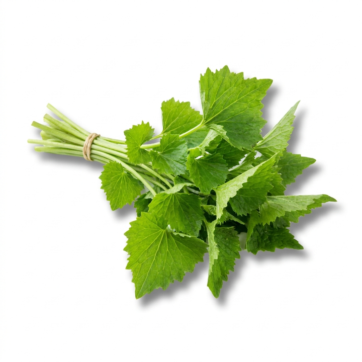 Wasabi